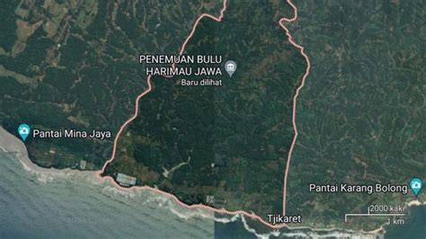 bulu farm price|Google Maps.